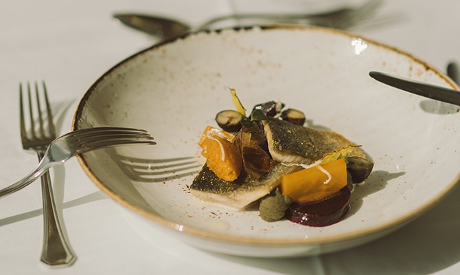 Hotel Reiters Supreme - Fish fillet garnished with vegetables