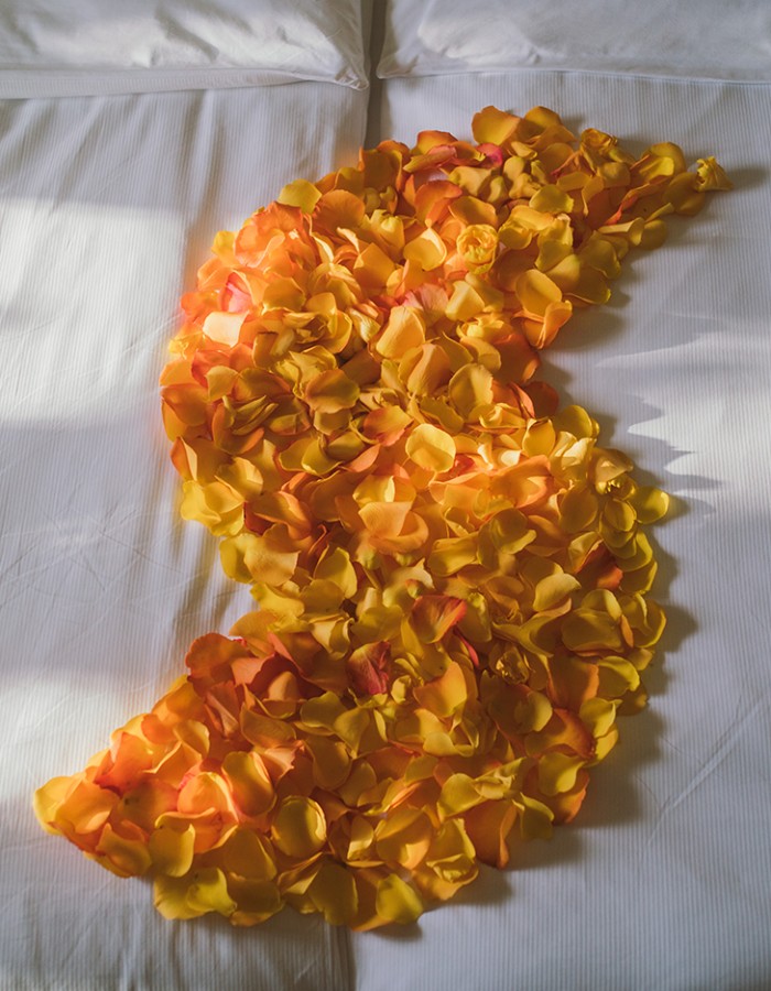 Hotel Reiters Supreme - Supreme logo made from petals