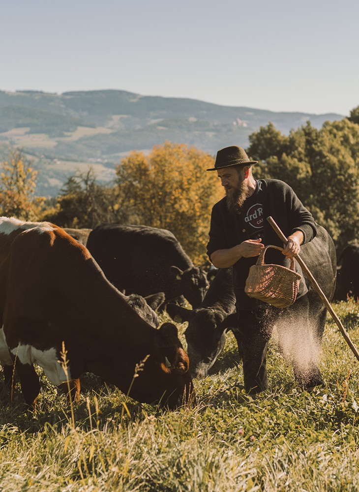 Hotel Reiters Supreme - Cattle breeding in the Rabenwald