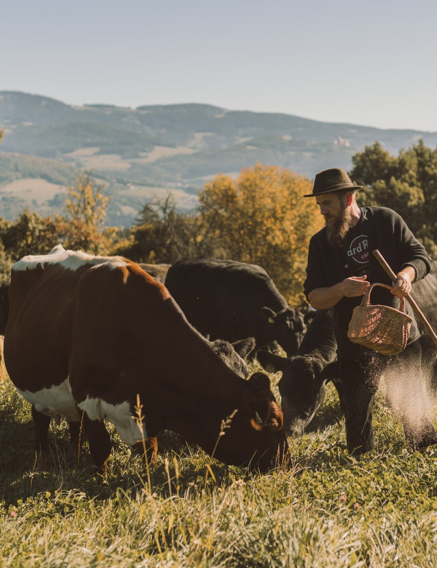 Hotel Reiters Supreme - farmer with cattle