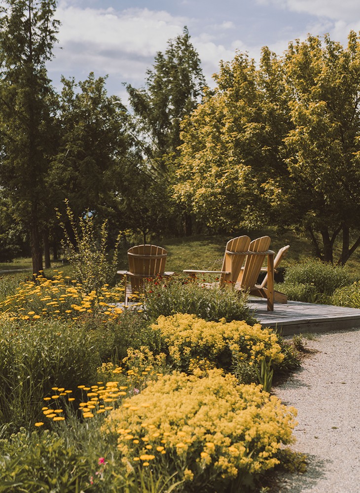 Hotel Reiters Supreme - Gartenanlage mit gelb-blühenden Blumen